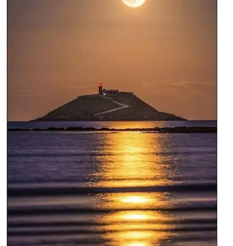 Cabin, Cork, Near Ballymaloe House & Garryvoe בית נופש *